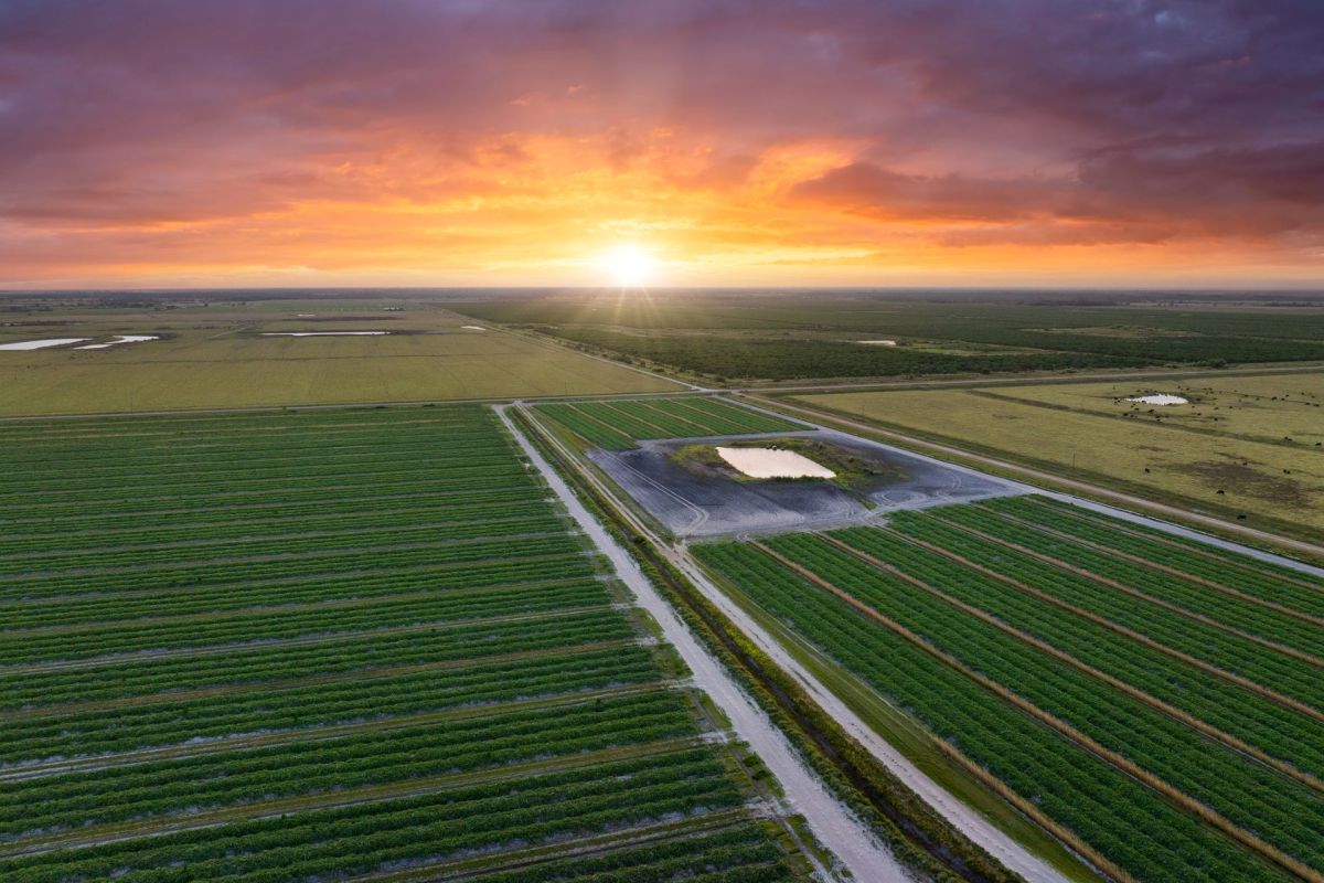 Scientists around the world are hard at work figuring out how to combat the many forces threatening the global food supply.