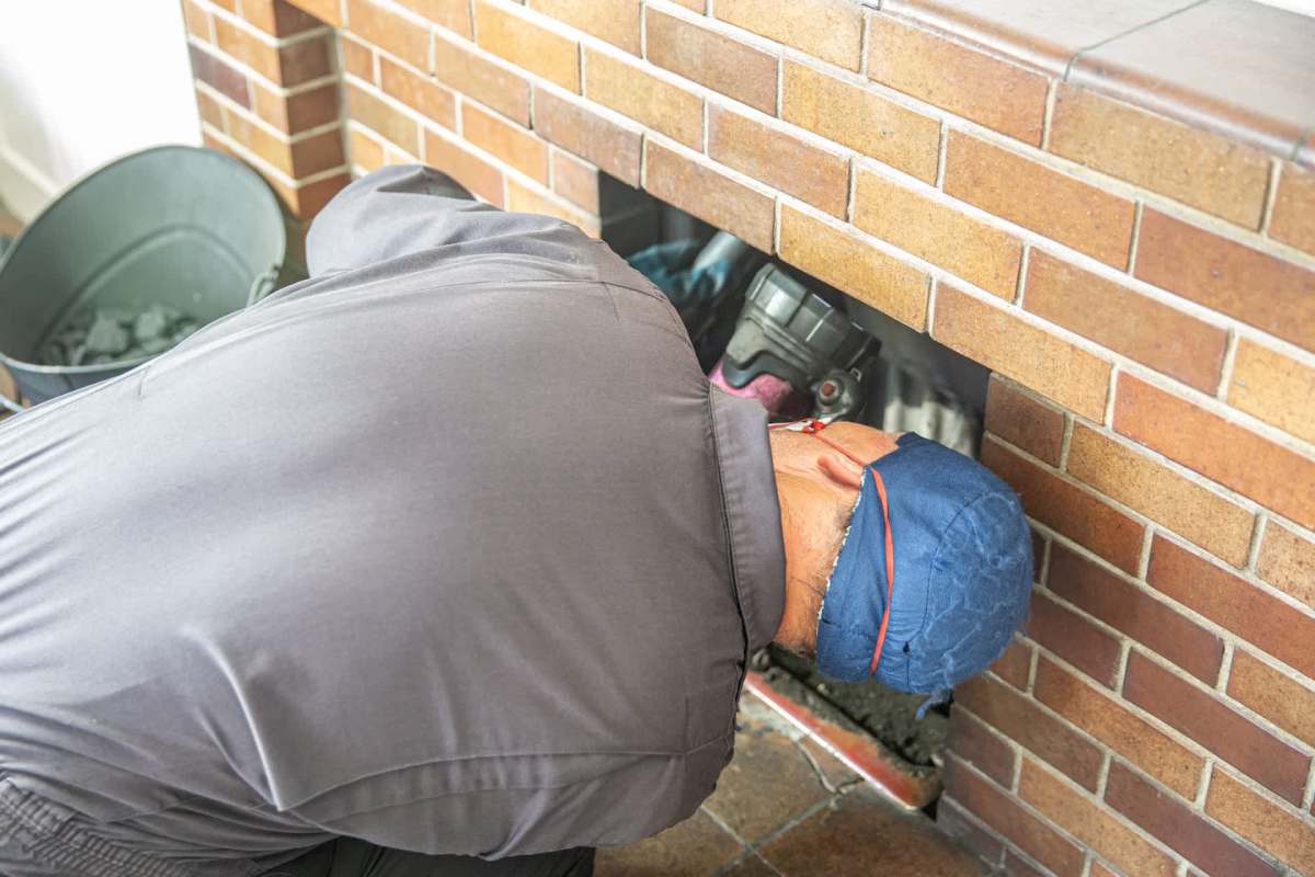The tawny owl rescued from a chimney in Scotland will soon be going back to his home territory thanks to Hessilhead Wildlife Centre's efforts.