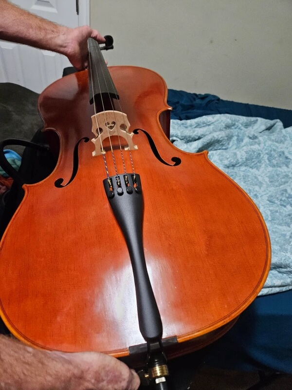 One lucky Redditor struck gold on trash day, rescuing a cello worth hundreds of dollars from the curbside.