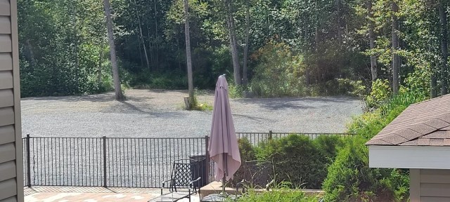 A neighbor's decision to give up on their yard frustrated a homeowner whose flourishing natural yard provided a great contrast.