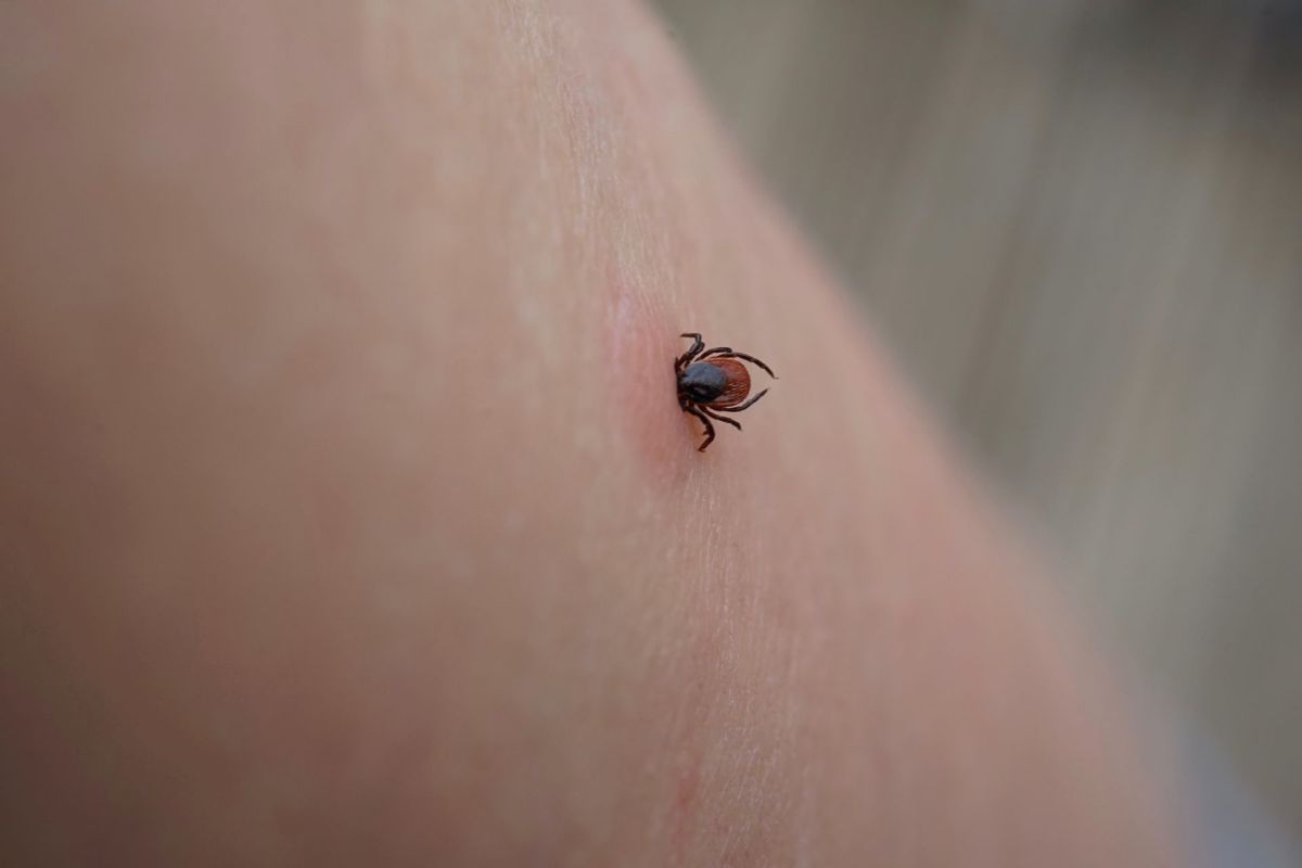 A New Jersey man who contracted Lyme disease says he has been battling lingering neurological symptoms for years.