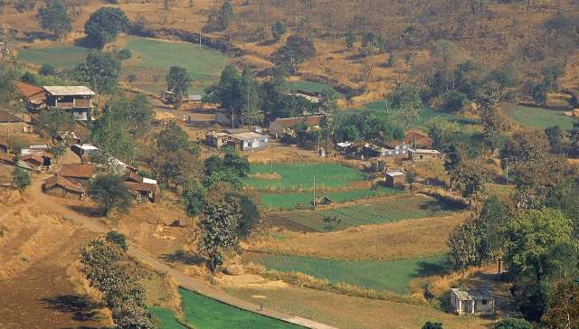 The forest service in the Indian state of Telangana issued a safety advisory to multiple communities following the sighting of a tiger.