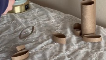 One pet parent shared a money-saving hack for keeping your cat entertained — and all you need is a toilet paper tube and some treats.