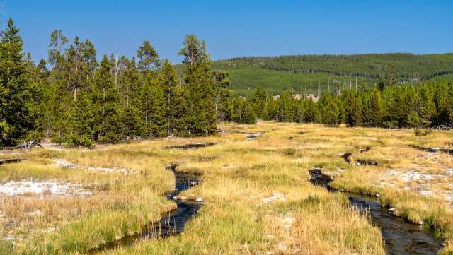 One angered Yellowstone and Grand Teton National Park visitor shared a video of a tourist approaching a bison, infuriating other onlookers.