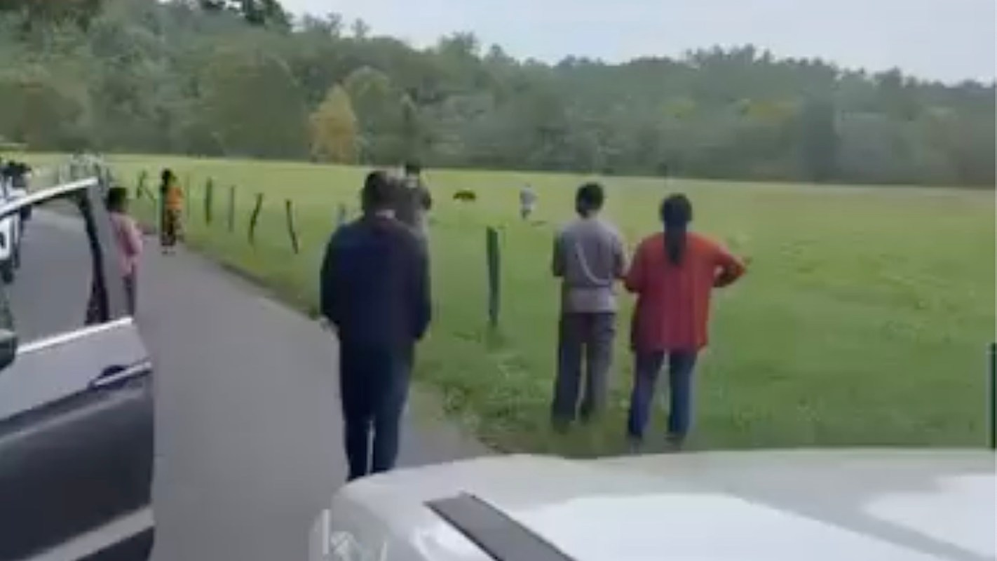 A video showing a woman standing entirely too close to a bear at Great Smoky Mountains National Park ignited frustration online.
