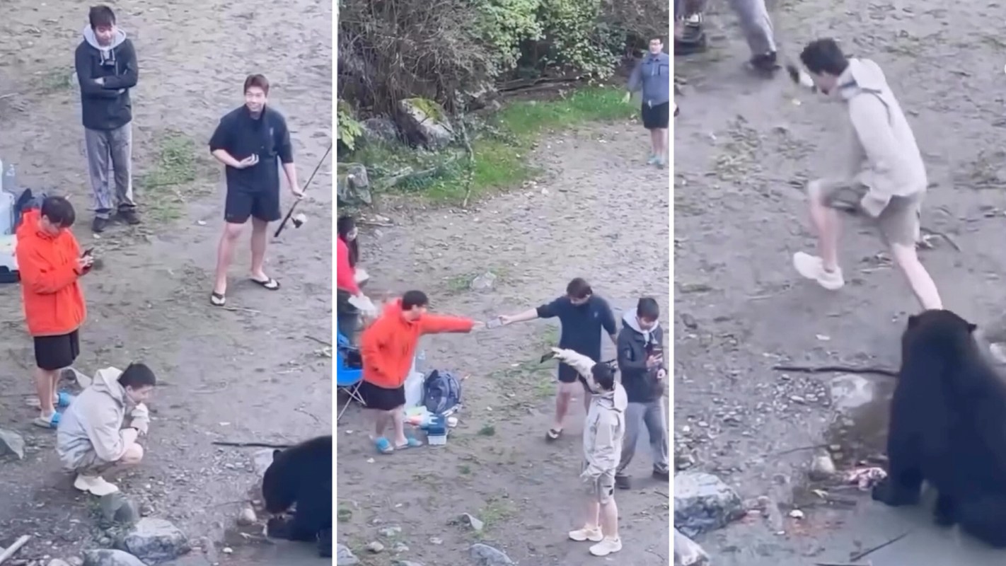 A wild black bear was filmed calmly eating along the shoreline in British Columbia while several people stood just feet away.