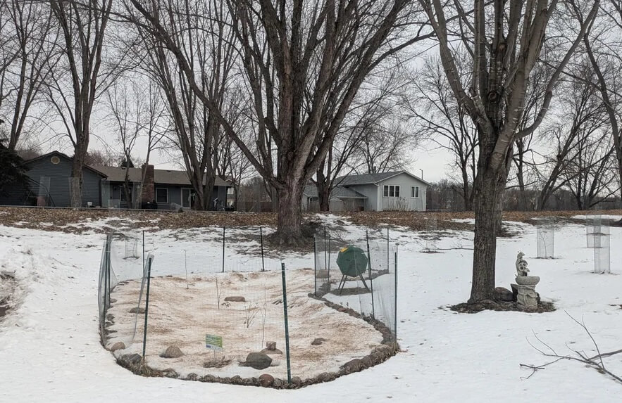 An HOA surprised a homeowner by working with them readily to create beautiful native plant gardens.