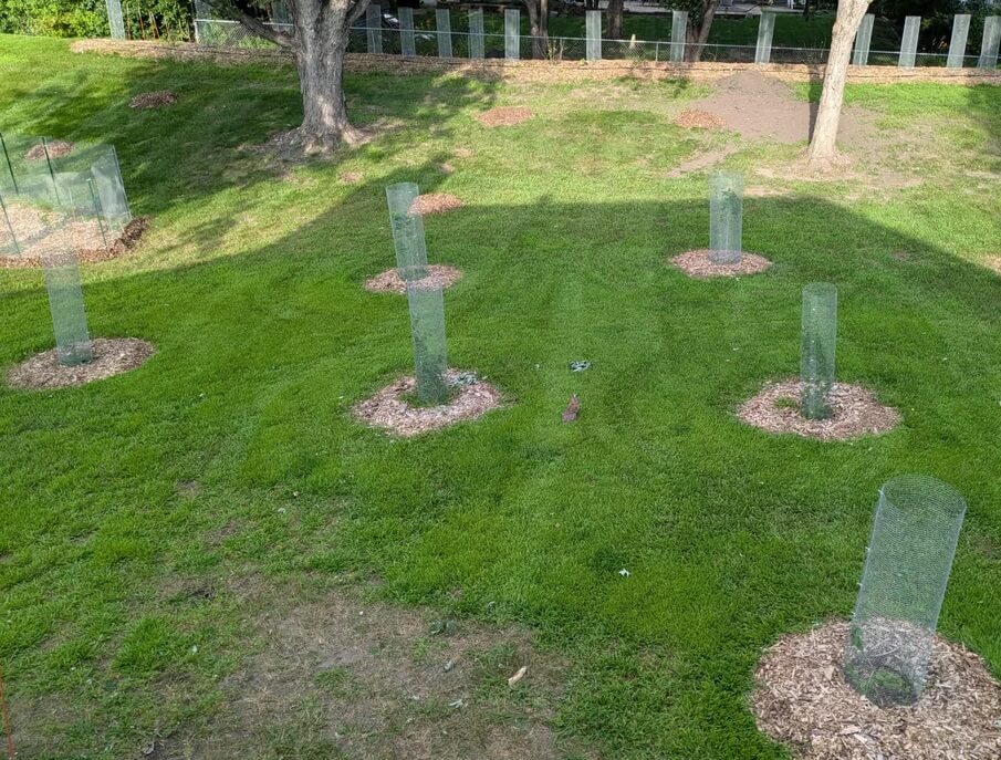 An HOA surprised a homeowner by working with them readily to create beautiful native plant gardens.