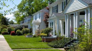 The roots of a tree owned by a Las Vegas HOA ruptured underground pipes, incurring nearly $15,000 in costs for nearby homeowner Larry McClellan.