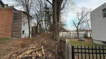 Redditors supported a homeowner battling a developer over an 80-year-old silver maple tree in a heated tree dispute.