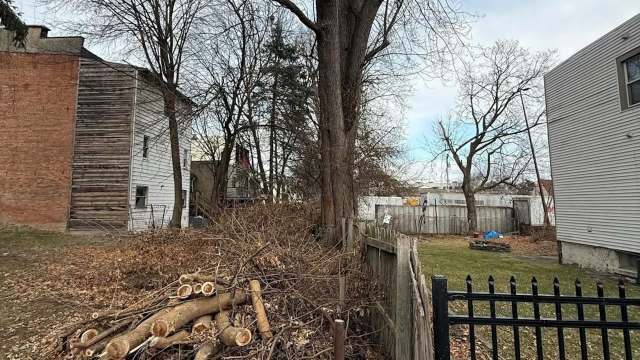 Redditors supported a homeowner battling a developer over an 80-year-old silver maple tree in a heated tree dispute.