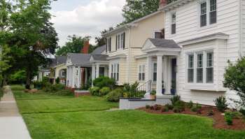 One homeowner says their HOA-approved tree-trimming left their only tree looking butchered rather than maintained.