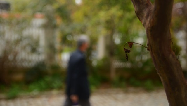 Sharing garden advice with neighbors can be a difficult balancing act, and a Redditor grappled with that question after spotting a mulch issue on a nearby property.