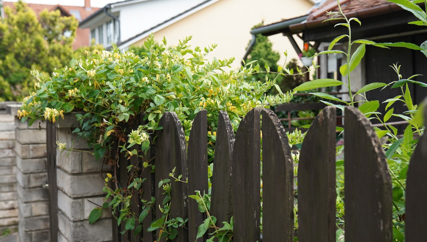 A single mother sought advice on Reddit after discovering that her trespassing neighbor had destroyed her property.