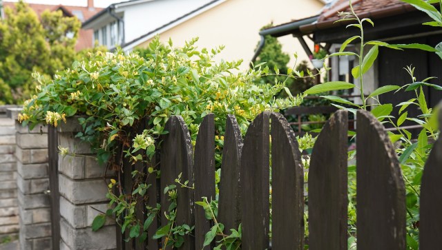 A single mother sought advice on Reddit after discovering that her trespassing neighbor had destroyed her property.