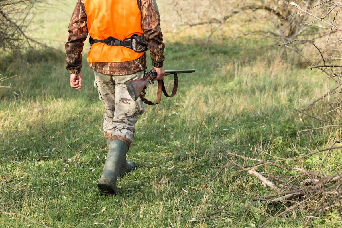 Belgium's Constitutional Court has rejected an appeal to a 2024 law banning trophy hunting imports.