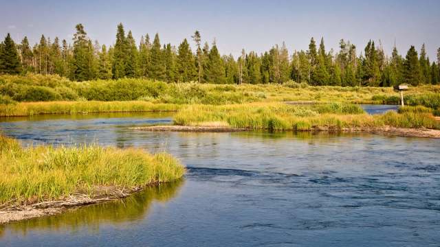 Montana officials are attempting to restore a trout population by ensuring they have a private spawning area in Bear Trap Canyon.