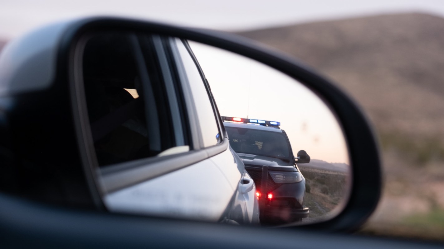 Maidalpur Forest personnel successfully recovered over 80 turtles after intercepting a smuggling attempt along the road to Dabugaon, India.