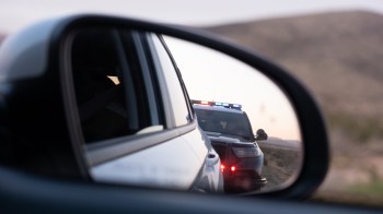 Maidalpur Forest personnel successfully recovered over 80 turtles after intercepting a smuggling attempt along the road to Dabugaon, India.