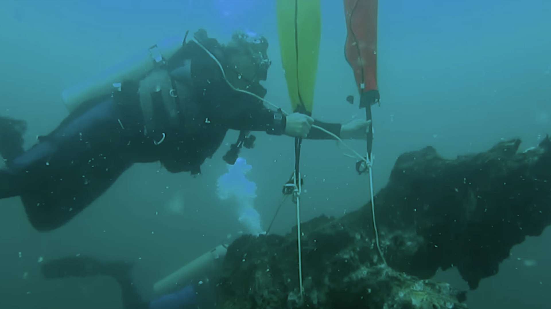 Researchers make concerning discovery while studying underwater forest off US coast: 'A rare glimpse'