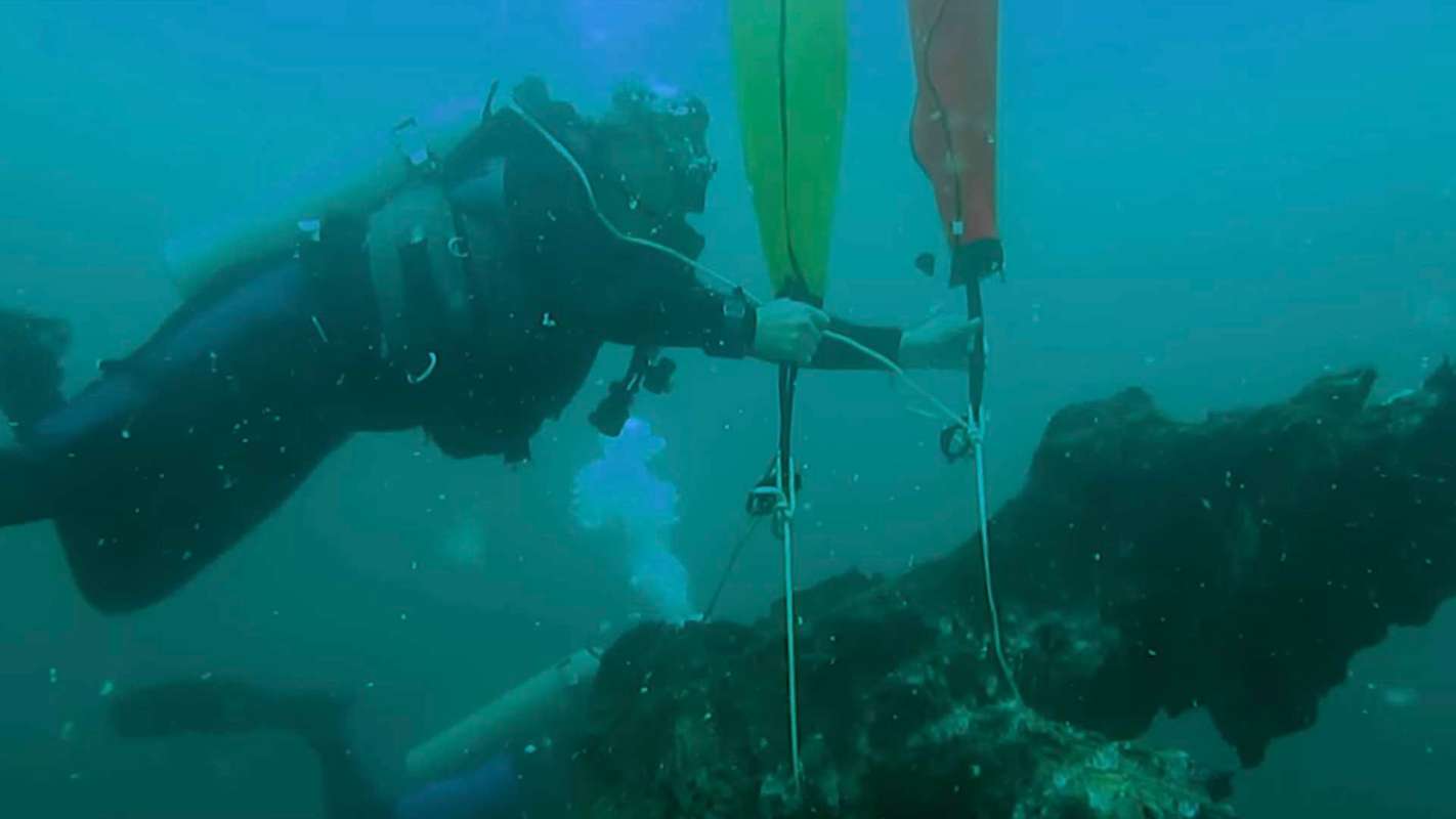 A team of researchers investigated an underwater forest off the U.S. coast in the Gulf of Mexico to study climate change.