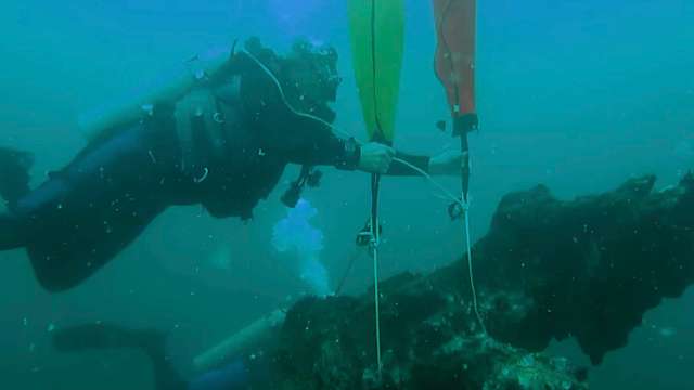 A team of researchers investigated an underwater forest off the U.S. coast in the Gulf of Mexico to study climate change.