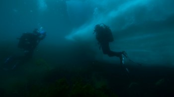 A new study on deep-sea biodiversity revealed over 500 new species — and it couldn't have come at a more critical time.