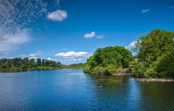 A conservation group in County Wicklow, Ireland, has photographed otters on wildlife cameras after half a decade of attempts.