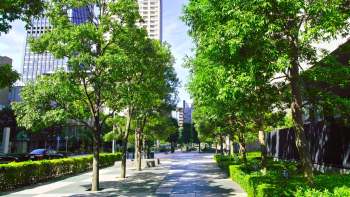 One TikToker was frustrated after spotting multiple botched mulching jobs.