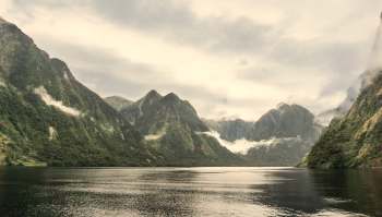Conservationists have minimized the spread of an invasive seaweed species in New Zealand's Fiordland Marine Area.