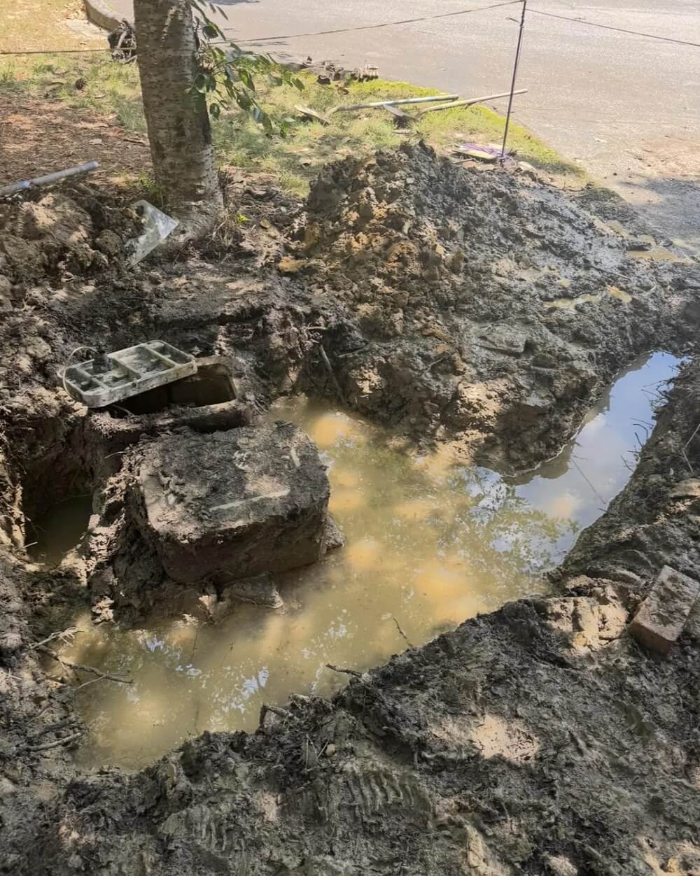 For one homeowner, a simple swamp's squabble with their HOA turned into an 18-month standoff.