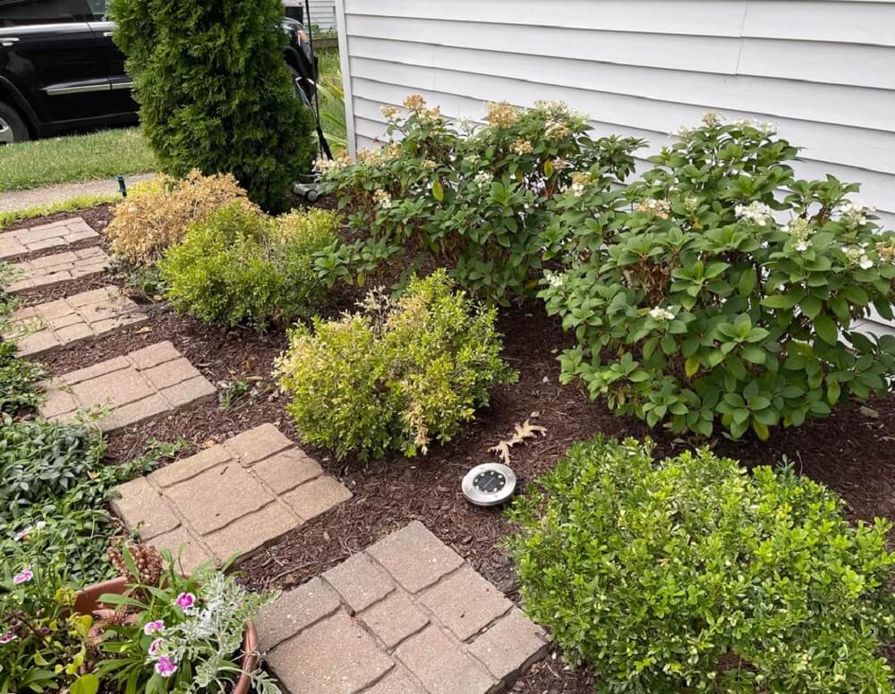 A gardener on Reddit detailed their frustrating experience with a poorly executed plant-sitting job while they were on vacation.