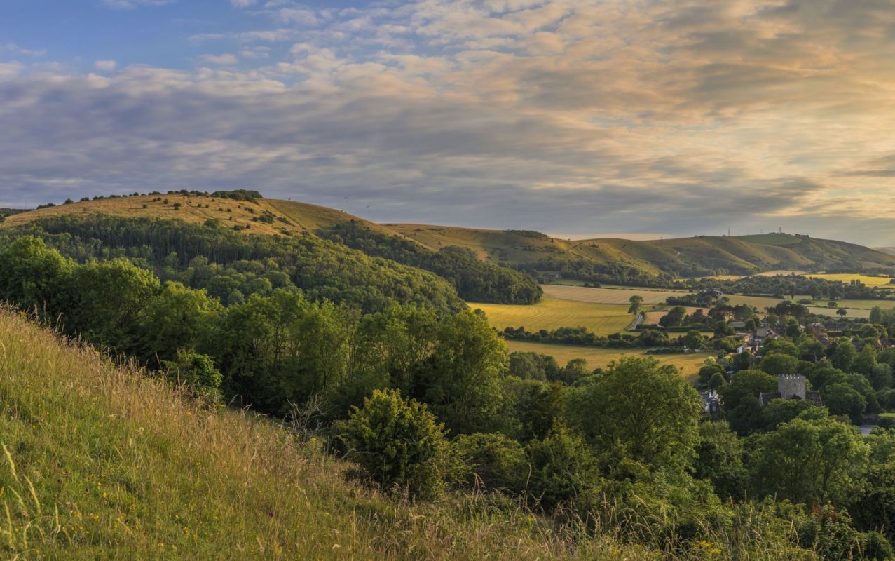 The owners of Knepp Estate in West Sussex, England, have seen a stunningly successful rewilding effort on the land, leading to local wildlife populations soaring upward.