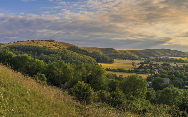 The owners of Knepp Estate in West Sussex, England, have seen a stunningly successful rewilding effort on the land, leading to local wildlife populations soaring upward.
