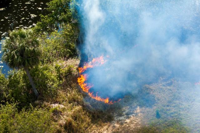A perfect storm of extreme drought and dry conditions in Southwest Florida is contributing to a rapidly growing wildfire in Big Cypress National Preserve.