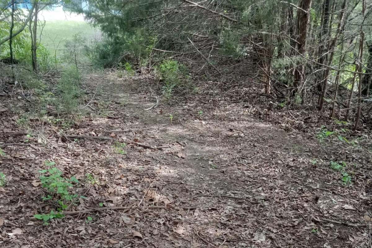 A Kansas local shared a satisfying cleanup of a litter-strewn woods, transforming it into a peaceful nature spot.