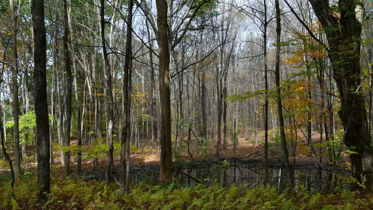 Scientists say the growing frequency of extreme weather swings is worsening droughts in the Northeast.