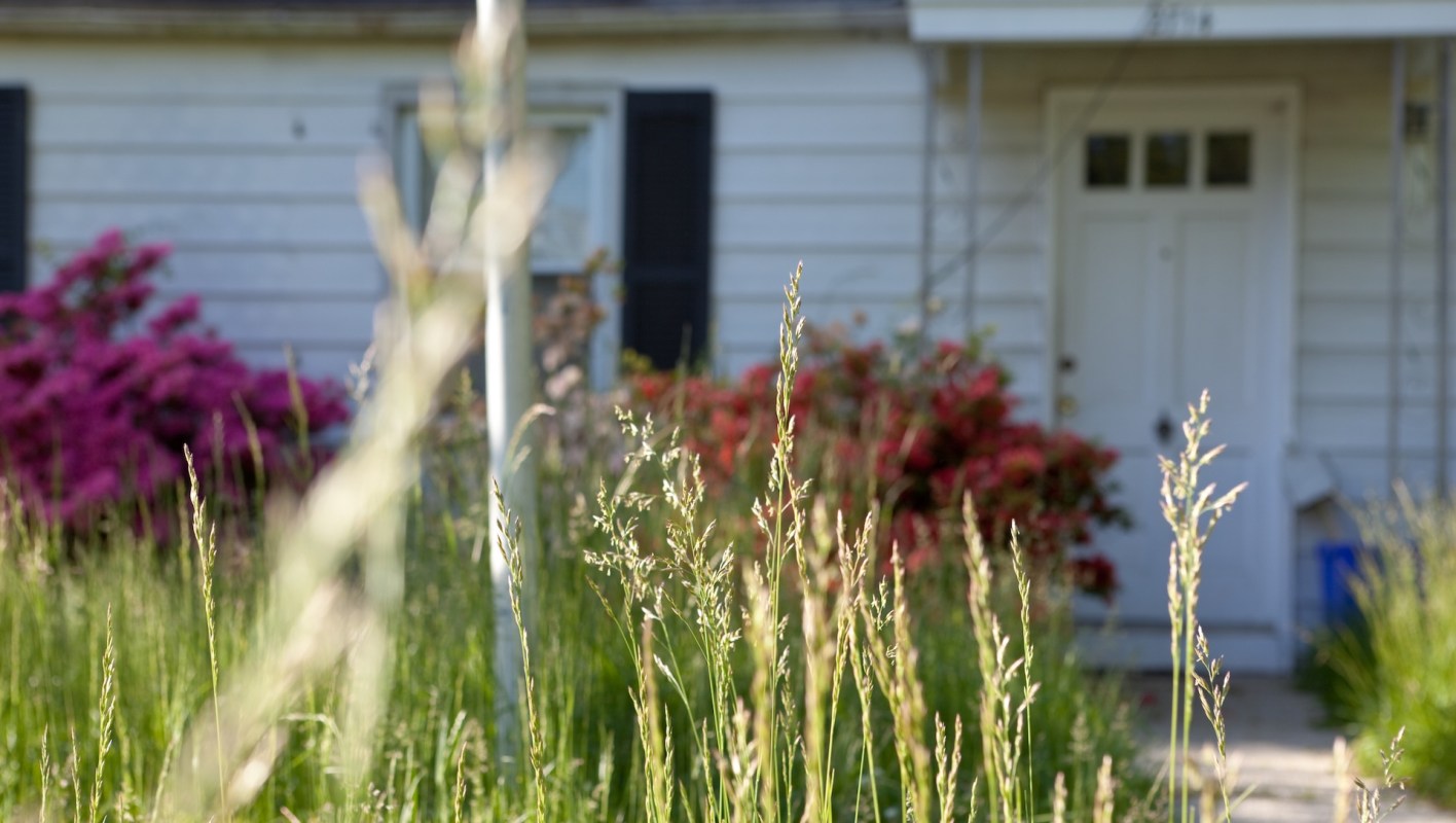 One Kansas homeowner, who attempted to turn their front lawn into a pollinator oasis, was met with a scary letter from their county.