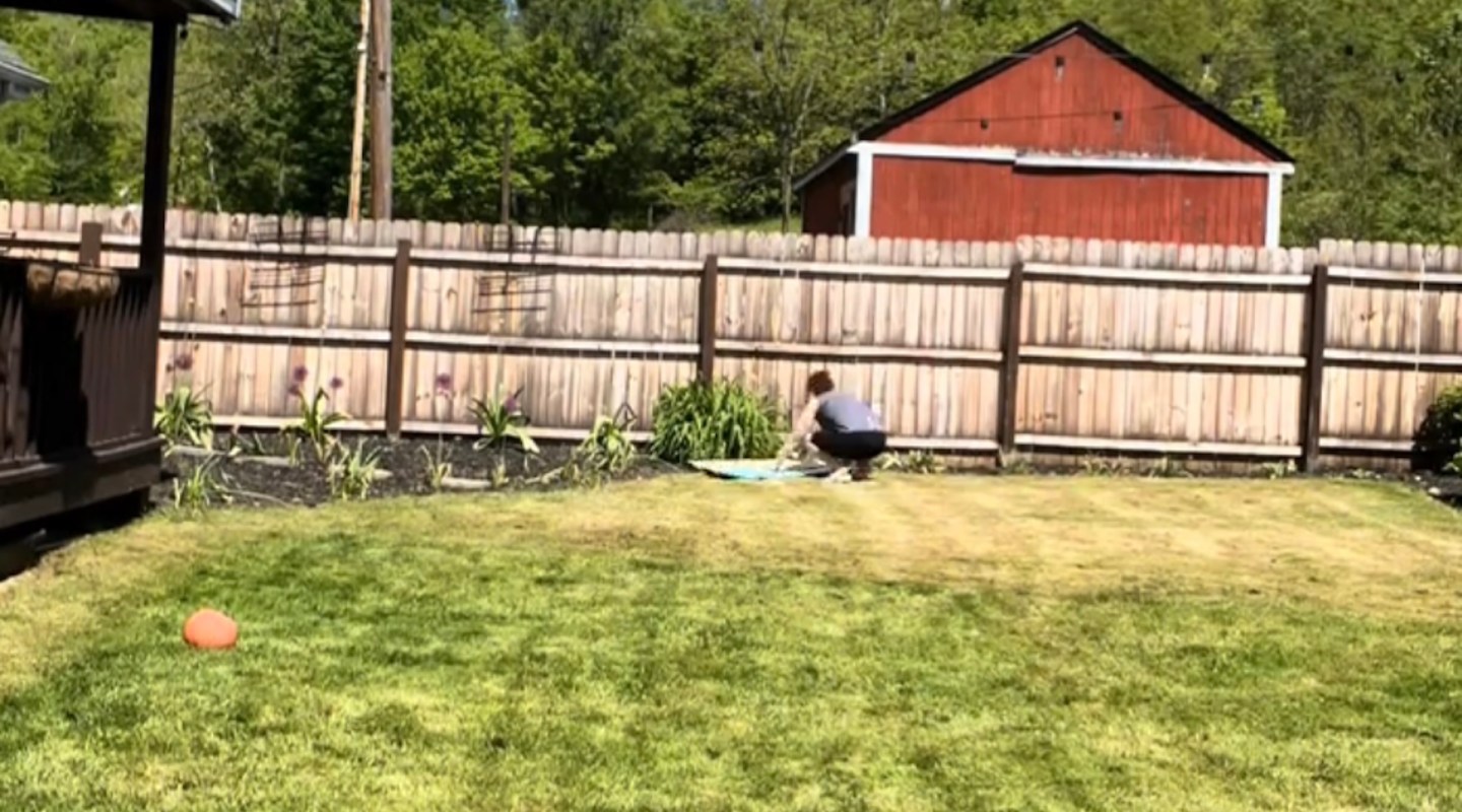A TikTok gardener showed how layers of cardboard transformed her grass lawn into a thriving pollinator garden without digging up a single blade.