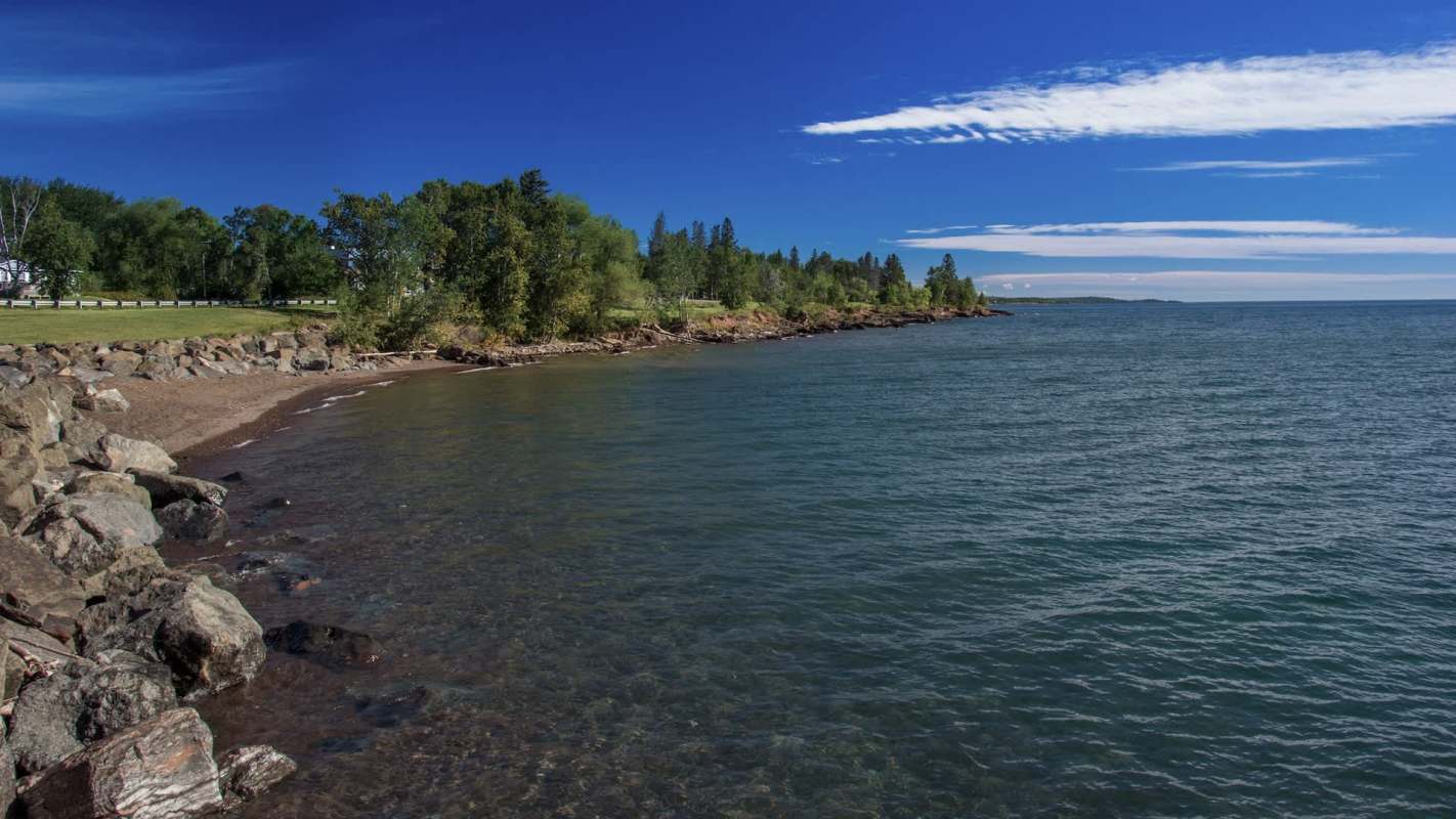 Zebra mussels are a problem in the Great Lakes, and dedicated divers are helping to removed them.