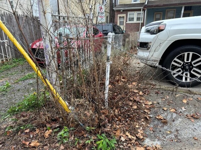 A dedicated Redditor took action to take care of what they referred to as a trash lasagna, ensuring that Big Belly solar compactor bins took in the feast.