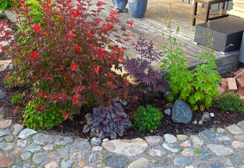 A gardener's beautiful before-and-after photos prove that even a forgotten corner can become a flourishing masterpiece with the right planning and a little care.