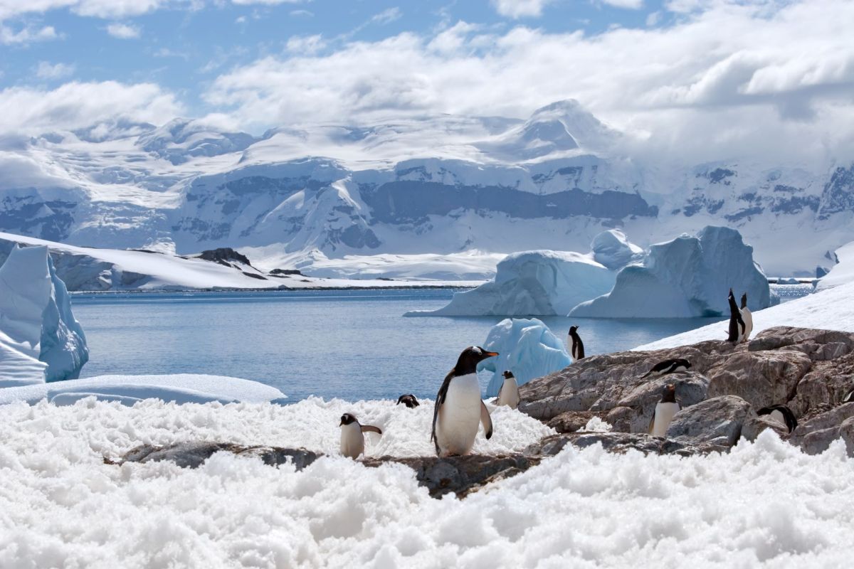 New analysis of the Antarctic Peninsula warns that decisions made in this decade will shape the continent’s future and have impacts on the rest of the world.