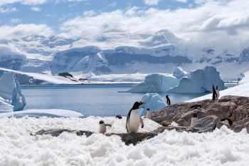 New analysis of the Antarctic Peninsula warns that decisions made in this decade will shape the continent's future and have impacts on the rest of the world.