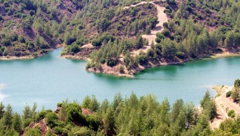 Researchers recently recorded the first-ever sighting of mature European eels in Cyprus, reporting the easternmost confirmed sighting of the species in this lfe stage.