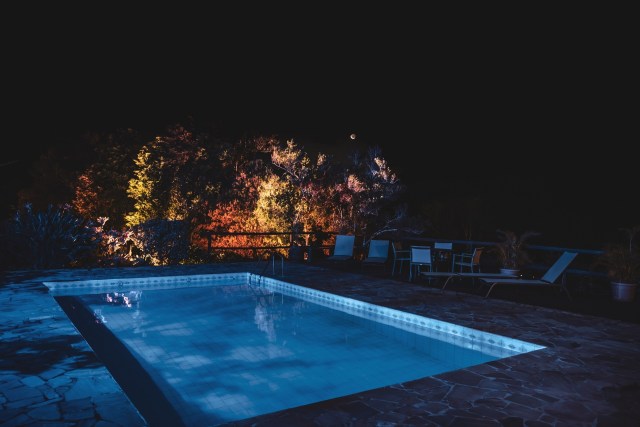 A puzzling appearance of a crocodile hatchling in Sheffield, South Africa, carried all the intrigue of the juiciest true-crime mystery.