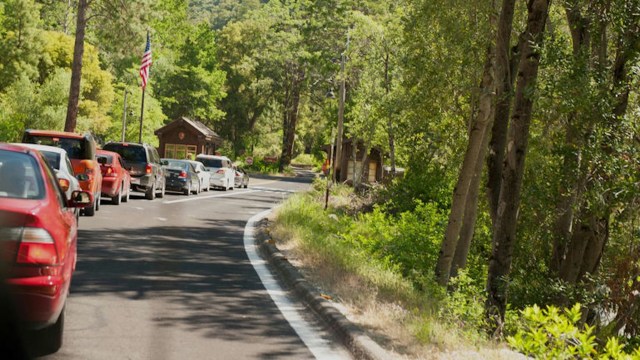 One woman recently sparked backlash after a fellow tourist shared a close encounter with a couple of grazing mountain goats.