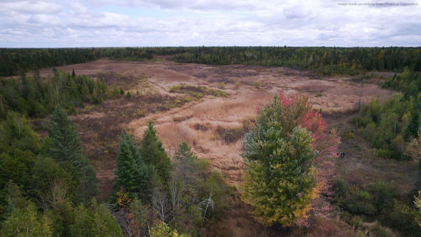 A recent donation is supporting wildlife in Ottawa and safeguarding a key wetland area that is facing a decline in government protection and conservation.