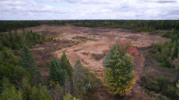A recent donation is supporting wildlife in Ottawa and safeguarding a key wetland area that is facing a decline in government protection and conservation.
