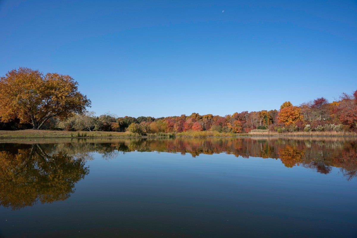 Lake in Long Island, New York.